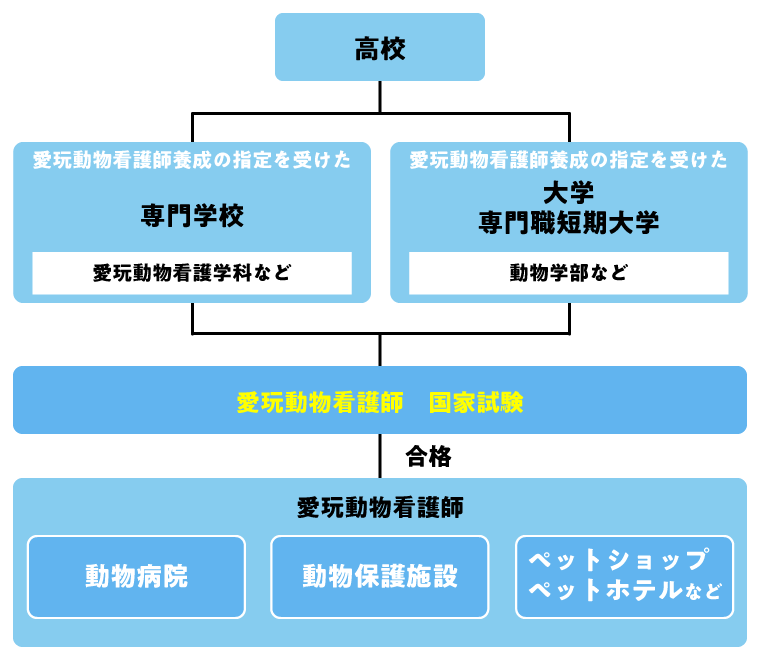 愛玩動物看護師になるには？