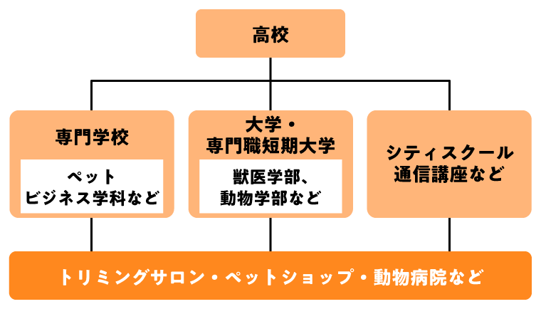 トリマーになるには？