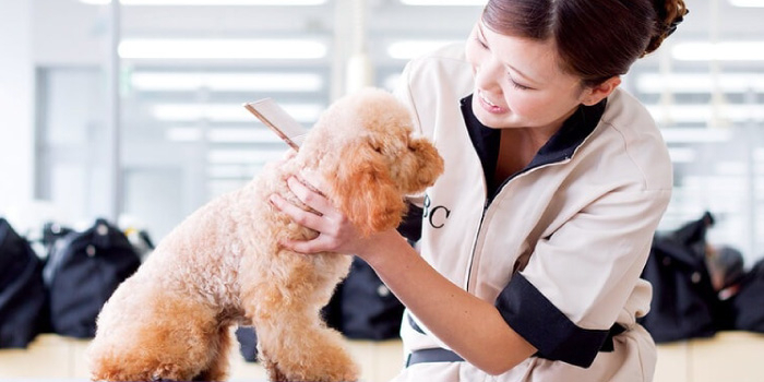 【オンライン】ペットビジネス学科・愛玩動物看護学科がわかる！講座