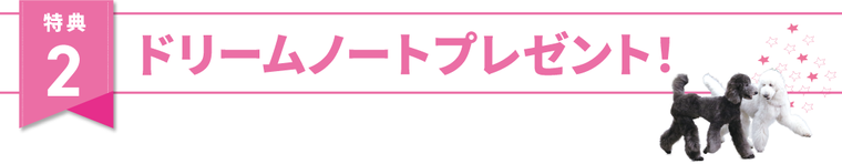 特典２、“ドリームノート”プレゼント