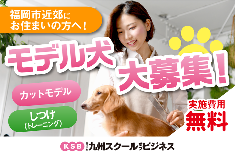 モデル犬大募集致します！