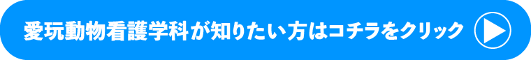 愛玩動物看護学科が知りたい方はこちらをクリック！