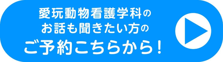 愛玩動物看護学科のご予約はこちら