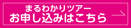 まるわかりツアーお申し込み