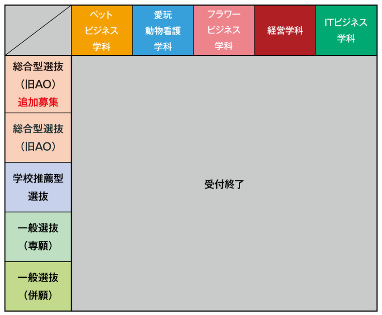 2025年度入学　募集状況（03/03更新）